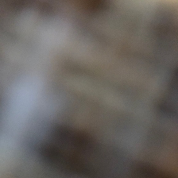 Meet your Posher, Gabrielle - Picture 1 of 1